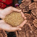 Paush Amavasya Daan: पौष अमावस्या पर इन चीजों का करें दान