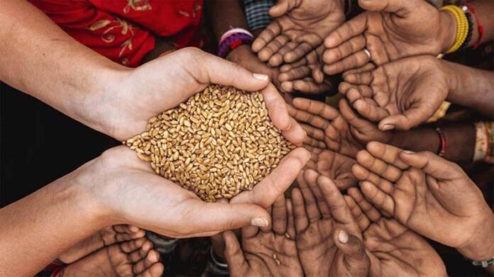 Paush Amavasya Daan: पौष अमावस्या पर इन चीजों का करें दान Paush Amavasya Daan: पौष अमावस्या पर इन चीजों का करें दान