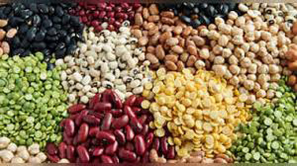 Business News Update : वैश्विक स्तर पर खाद्य कीमतों में कमी से राहत Business News Update : वैश्विक स्तर पर खाद्य कीमतों में कमी से राहत