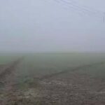 Haryana Weather Update: हरियाणा में घने कोहरे का अलर्ट