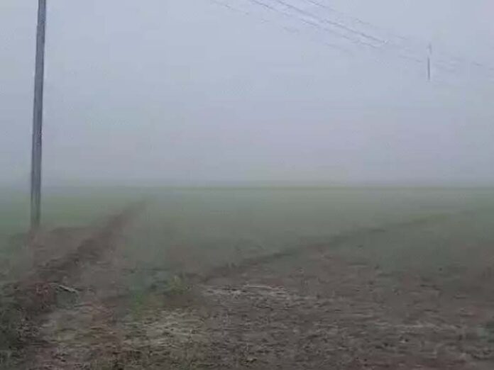 Haryana Weather Update: हरियाणा में घने कोहरे का अलर्ट Haryana Weather Update: हरियाणा में घने कोहरे का अलर्ट