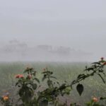 Haryana Weather Update: हरियाणा में 9 दिसंबर से चलेंगी बफीर्ली हवाएं