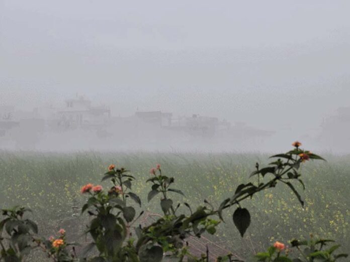 Haryana Weather Update: हरियाणा में 9 दिसंबर से चलेंगी बफीर्ली हवाएं Haryana Weather Update: हरियाणा में 9 दिसंबर से चलेंगी बफीर्ली हवाएं