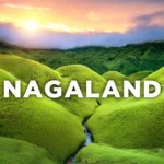 Know the important events of 01 December