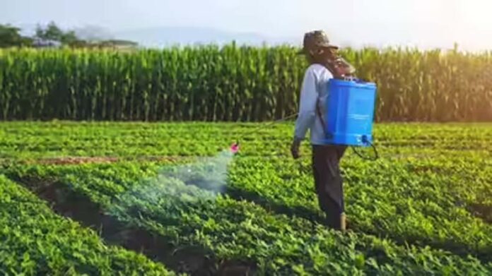 Organic Farming: बेसन-छाछ का देसी फॉर्मूला, खर्चा कम, कीट खत्म Organic Farming: बेसन-छाछ का देसी फॉर्मूला, खर्चा कम, कीट खत्म