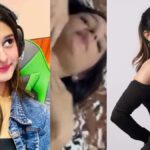Payal Gaming Viral Video: वायरल वीडियो पर Payal Gaming का सच, बयान सुनकर उड़ जाएंगे होश