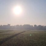 Punjab Weather Update: पंजाब के 8 जिलों में शीतलहर का अलर्ट