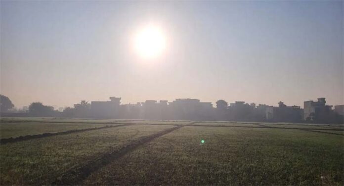 Punjab Weather Update: पंजाब के 8 जिलों में शीतलहर का अलर्ट Punjab Weather Update: पंजाब के 8 जिलों में शीतलहर का अलर्ट