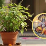 Saphala Ekadashi Upay: सफला एकादशी की रात करें ये उपाय