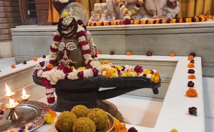 Saphala Ekadashi Shiv Puja: सफला एकादशी पर शिवलिंग पर चढ़ाएं ये चीजें Saphala Ekadashi Shiv Puja: सफला एकादशी पर शिवलिंग पर चढ़ाएं ये चीजें