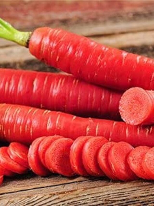 Best Time to Eat Carrots: गाजर खाने का बेस्ट टाइम जानें