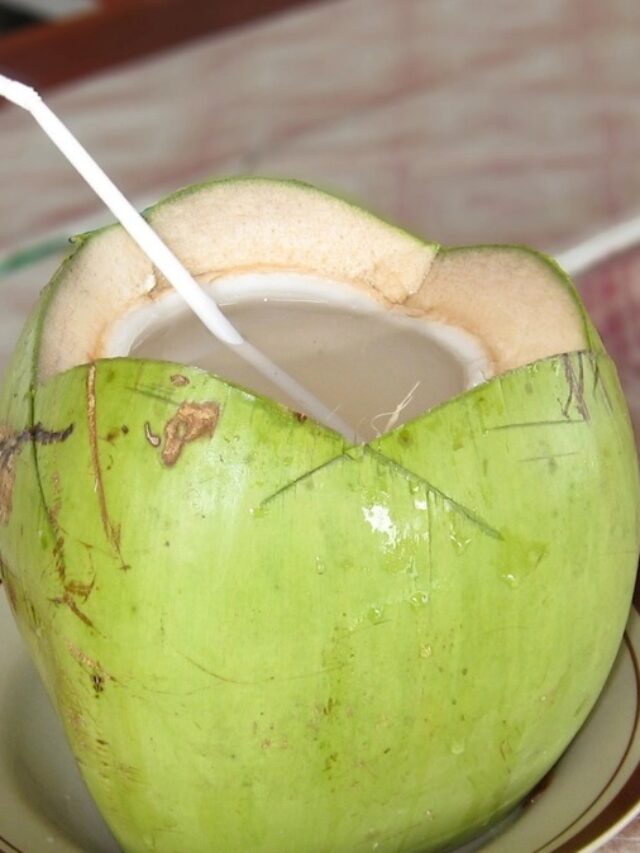Coconut Water Beneficial in Winter:  ठंड में नारियल पानी पीना है फायदेमंद ?