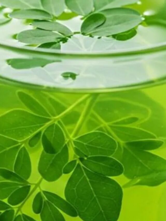 Health Tips: इस हरे पत्ते का पानी करेगा चमत्कार, खाली पेट पिएं रोज