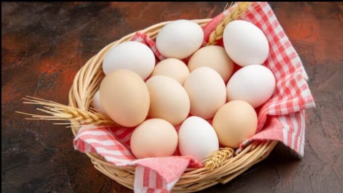 Eggoz Eggs Controversy: अंडों में कैंसर का खतरा? Egoz विवाद की पूरी कहानी"