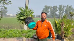 Business From Waste Plastic : कनाडा से करनाल तक का सफर: नितिन ललित ने वेस्ट प्लास्टिक से बनाया करोड़ों का कारोबार